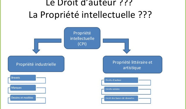 Propriété intellectuelle - industrielle - litéraire et artistique