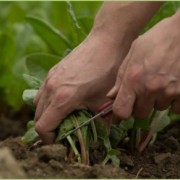 Éco-responsabilité l'affaire de tous